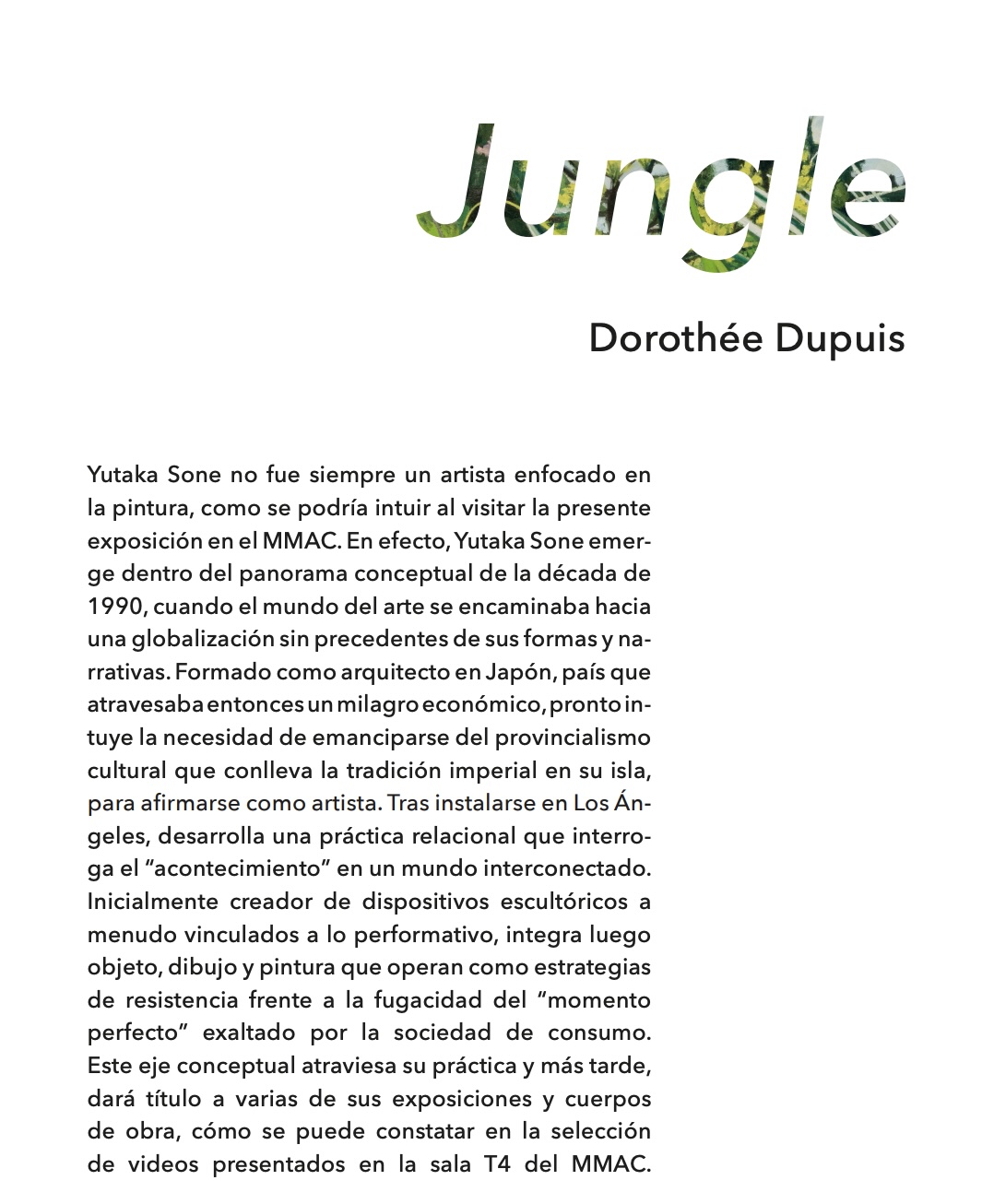 Jungle 5 